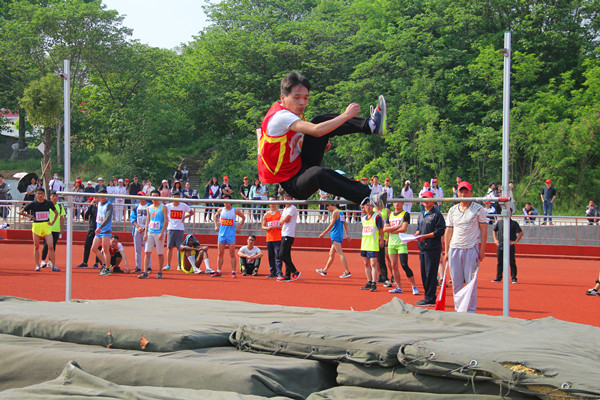 bat365在校第三十五届春季运动会中获佳绩